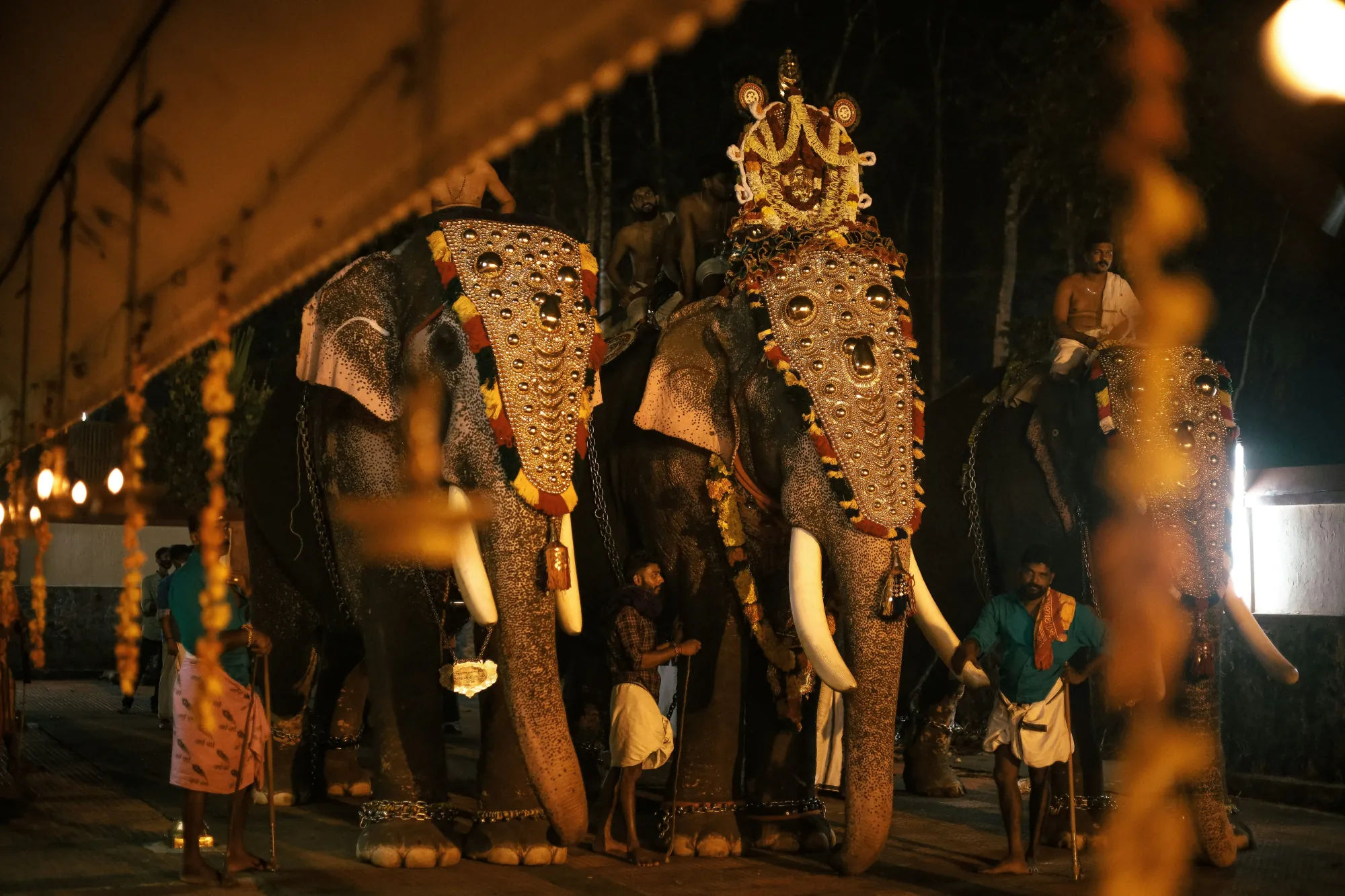 Kerala Travel Guide