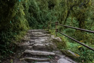 Himalayan Treks